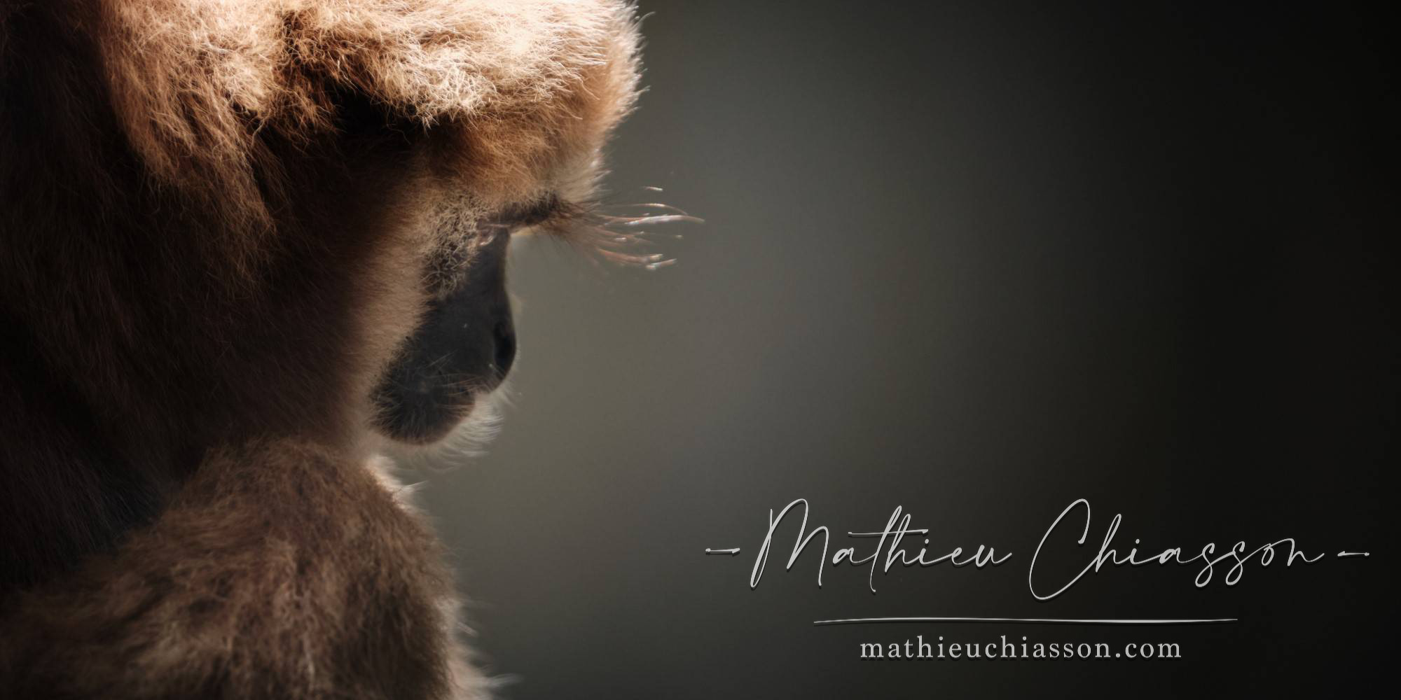 Photo by Mathieu Chiasson